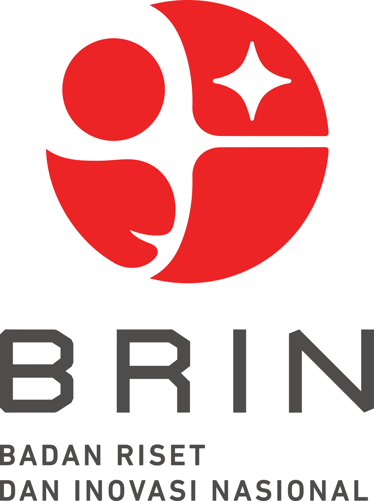 logo-brin